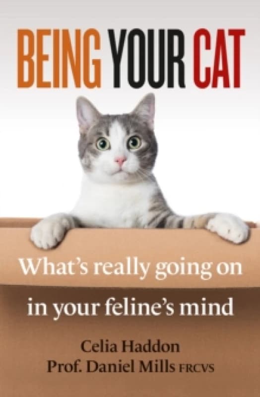 Being Your Cat : What's really going on in your feline's mind Paperback / softback