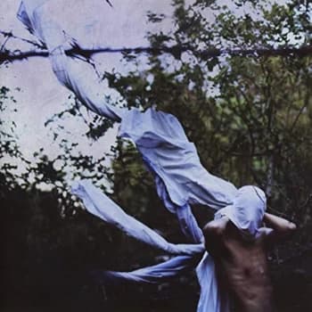 Petre Inspirescu - Vin Ploile CD