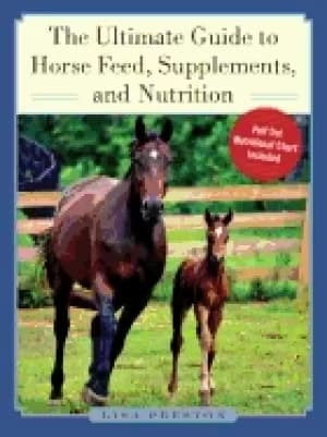 ultimate guide to horse feed supplements and nutrition
