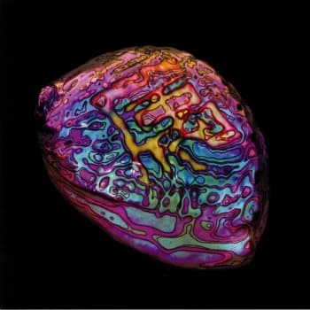 Ian Chang - Belonging Vinyl