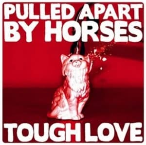Tough Love by Pulled Apart By Horses CD Album
