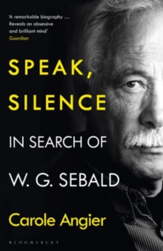 Speak, Silence : In Search of W. G. Sebald Paperback / softback