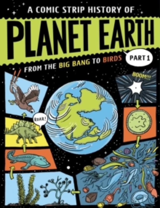 A Comic Strip History of Planet Earth: Part 1 From the Big Bang to Birds Paperback / softback