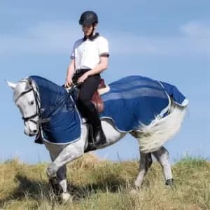 Amigo Flyrider Exercise Sheet - Blue