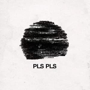 Pls Pls - Jet Black Vinyl