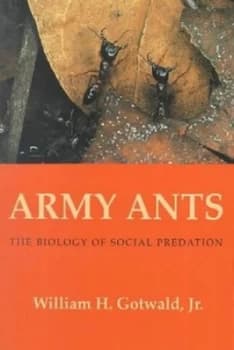 Army Ants by William H Gotwald Book