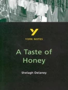 A Taste of Honey Shelagh Delaney by Bernadette Dyer Paperback