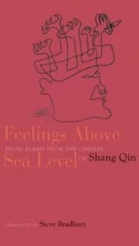 Feelings above Sea Level by Shang Qin Book