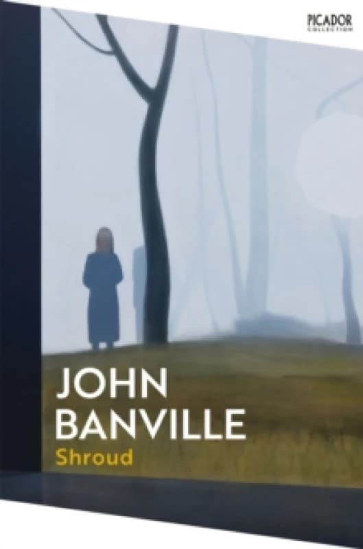 Shroud. Paperback. By John Banville Books