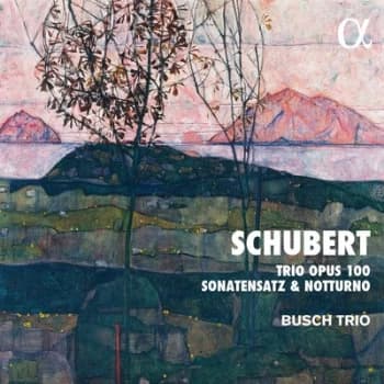 Schubert Trio Opus 100/Sonatensatz & Notturno by Franz Schubert CD Album