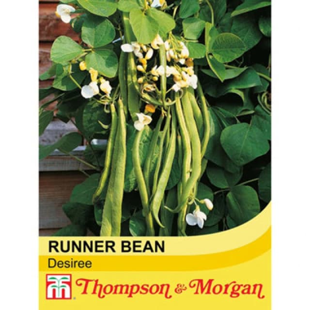 Thompson & Morgan Runner Bean Desiree 1 Seed Packet (35 Seeds)