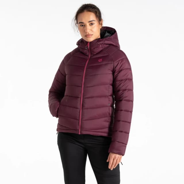 Dare 2b Womens Torrek Mountain Baffled Jacket in Purple Size: 8 Purple Female 8