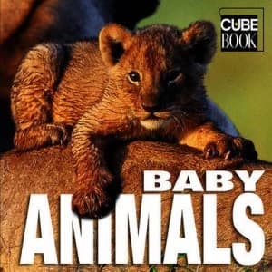 Baby Animals by Angela Serena Ildos Hardback