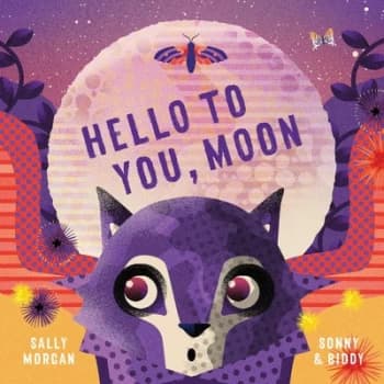 Hello to You Moon by Sally Morgan Hardback