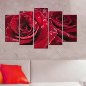 5PMDF-88 Multicolor Decorative MDF Painting (5 Pieces)