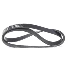 RIDEX V-ribbed belt VW,AUDI,OPEL 305P0399 55566903,55566904,55566905 Serpentine belt,Auxiliary belt,Poly V-belt,Ribbed belt,Multi V-belt,Poly belt