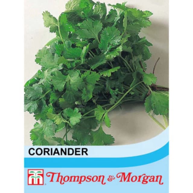 Thompson & Morgan Herb Coriander 1 Seed Packet (50 Seeds)