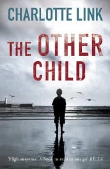 The Other Child by Charlotte Link Paperback