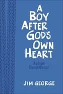 boy after gods own heart action devotional deluxe edition