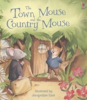The Town Mouse and the Country Mouse by Susanna Davidson Paperback