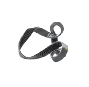 Bosch V-ribbed belt OPEL,FORD,FIAT 1 987 948 342 55202584,11287795036,5750E7 5750FS,5750FT,5750J0,5750VL,5750YP,96154391,9804491580,55202584,71746481