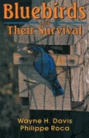 bluebirds and their survival
