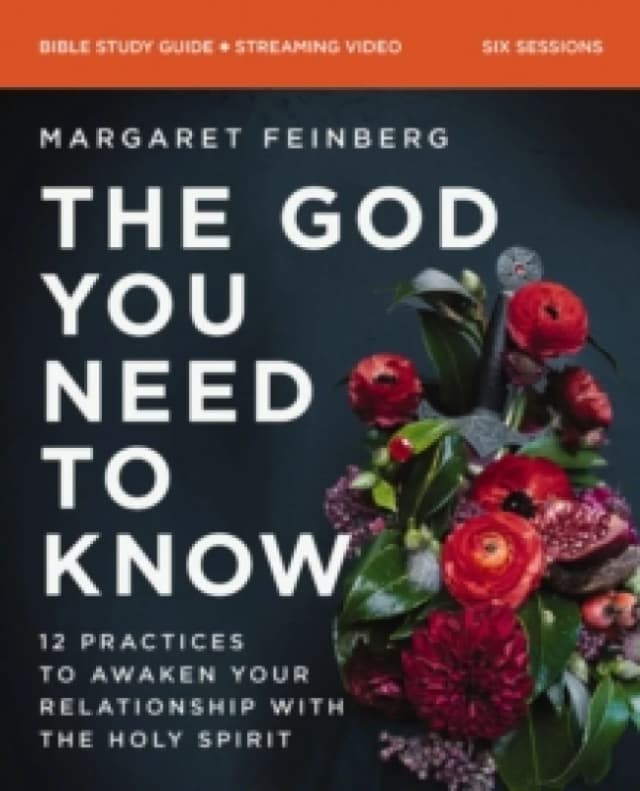The God You Need to Know Study Guide Plus Streaming Video. Paperback. By Margaret Feinberg Books