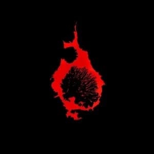 C. Diab - Exit Rumination Vinyl