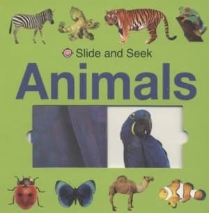 Animals by Nicola Friggens and Hermione Edwards Hardback