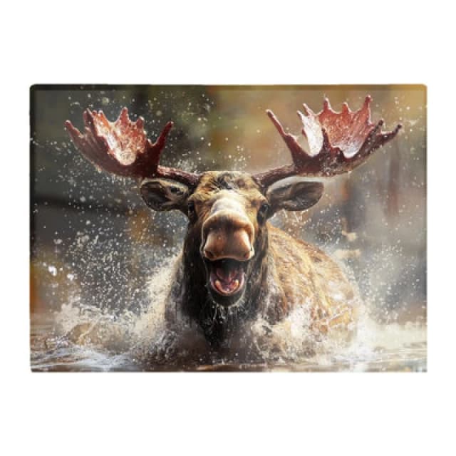 Warren Reed Designer Splashart Moose Enjoying A Swim Chopping Board