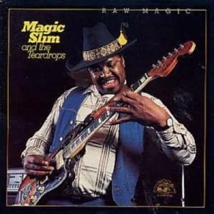 Raw Magic by The Teardrops CD Album