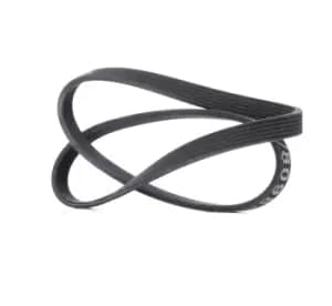 RIDEX V-ribbed belt VW,AUDI,FORD 305P0063 06A260849,06A260849C,1111928 Serpentine belt,Auxiliary belt,Poly V-belt,Ribbed belt,Multi V-belt,Poly belt