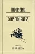 theorizing historical consciousness
