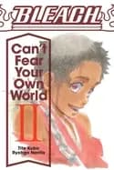 bleach cant fear your own world vol 2