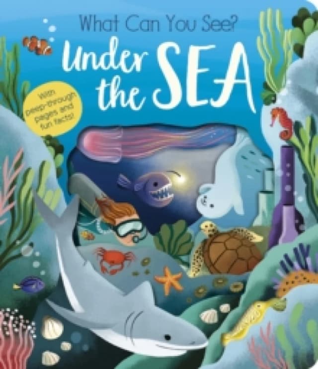 What Can You See? Under the Sea Board book