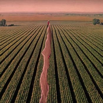 Possible Humans - Everybody Split 2019 Vinyl