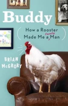 Buddy by Brian Mcgrory Hardback