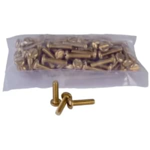 Schneider Electric 3747151 Brass Pan Head Machine Screws M4 x 16mm...
