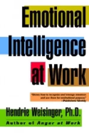 emotional intelligence at work the untapped edge for success