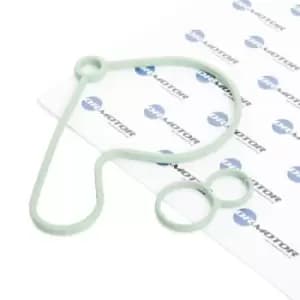 DR.MOTOR AUTOMOTIVE Gaskets DRM0594 Gasket, vacuum pump VW,AUDI,SKODA,Golf IV Schragheck (1J1),POLO (9N_),PASSAT Variant (3B6),Golf IV Variant (1J5)