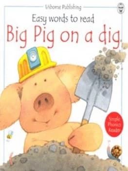 Big Pig on a Dig by Phil Roxbee Cox and Stephen Cartwright and Jenny Tyler and Marlynne Grant Book