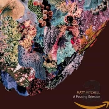 Matt Mitchell - A Pouting Grimace CD