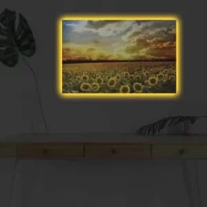 4570DHDACT-088 Multicolor Decorative LED Lighted Canvas Painting