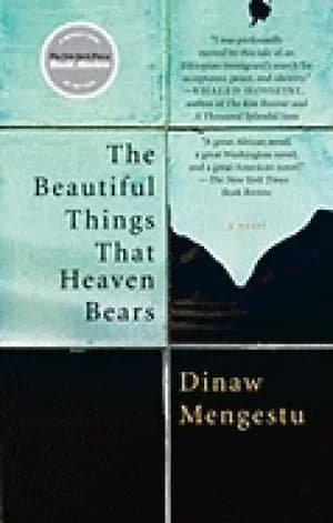 beautiful things that heaven bears
