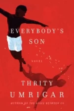 everybodys son a novel