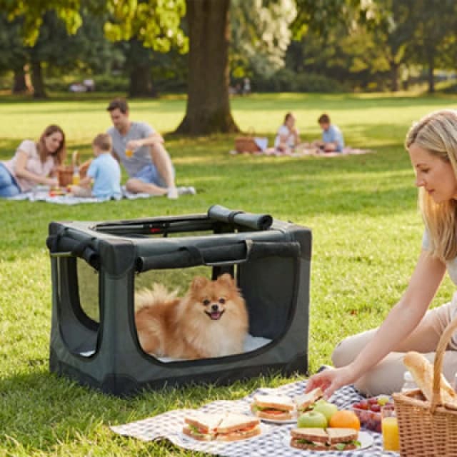 Pawhut Collapsible Dog Crate Portable Pet Travel Carrier 60 X 42 X 43 Cm