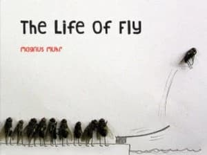 The Life of Fly by Magnus Muhr Hardback