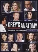 greys anatomy season 6