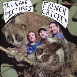 French Cricket by The Wave Pictures Vinyl Album