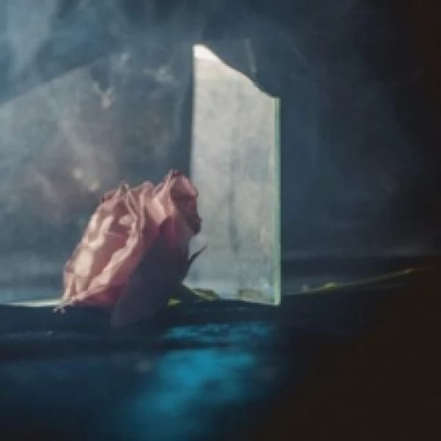 In Virus Times Vinyl